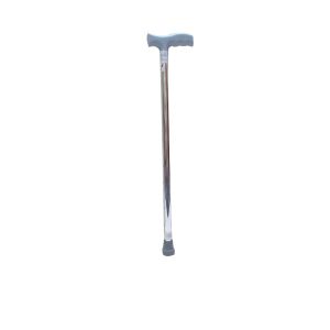 LifeEzy Walking Stick